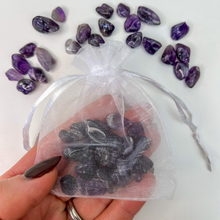 Load image into Gallery viewer, Amethyst Crystal Chips (20g)
