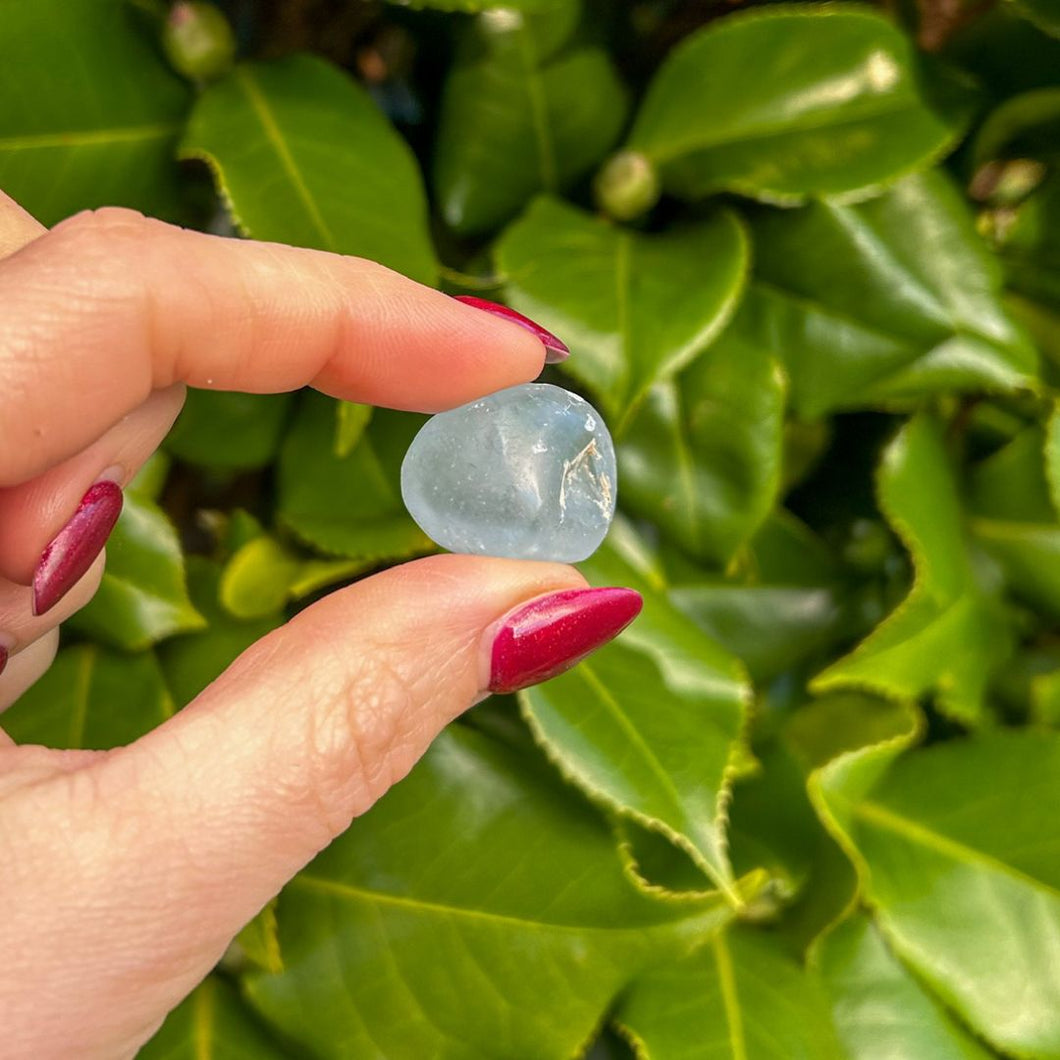 Celestite